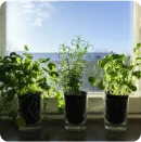 RNA-based biocontrols for crop improvement